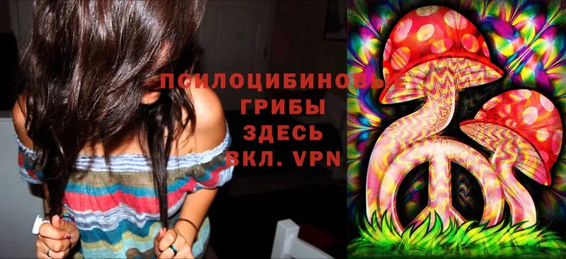 Псилоцибиновые грибы Magic Shrooms  Ипатово 